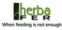 herbaferlogo